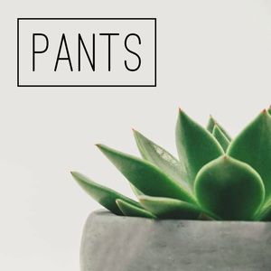 Dress • Casual • Palazzo • Leggings